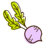 favicon 12