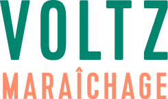 logo voltz